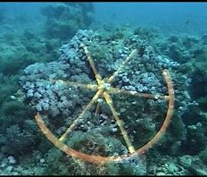 264485292A1B4C9E86DA23B417B88985