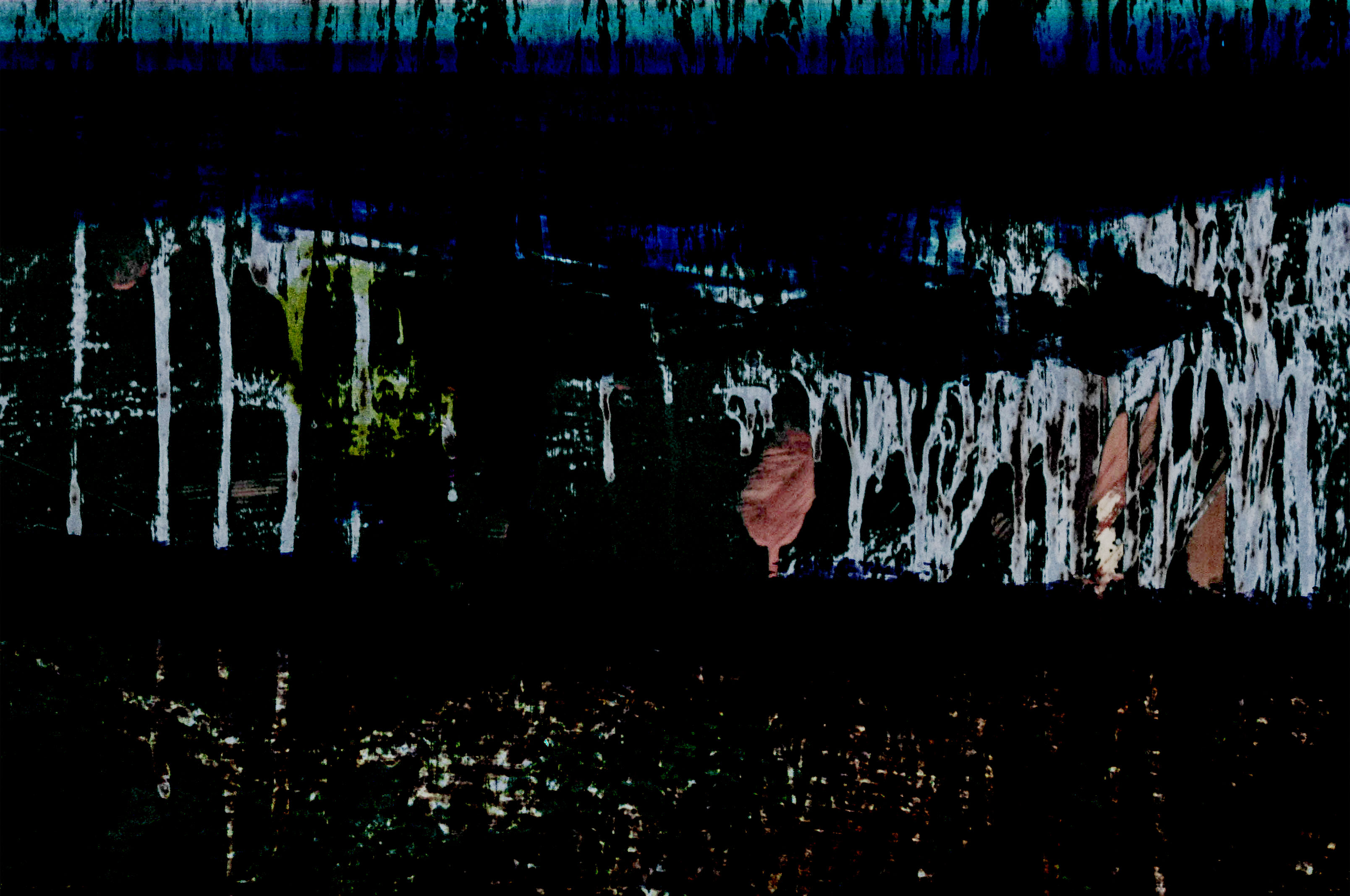 michal lowkain disappearing world