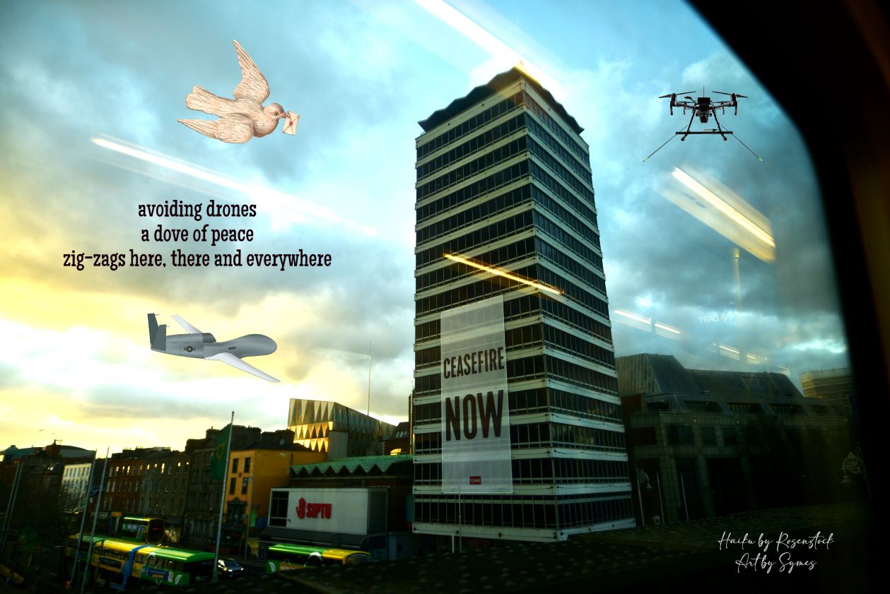 Drones Haiku English resized