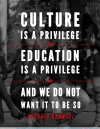 Cultural Commentary