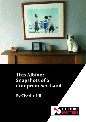 'A deep, poetic beauty': Review of 'This Albion: Snapshots of a Compromised Land' by Charlie Hill